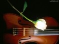 /album/papeis-de-parede/instruments-of-beauty-jpg/