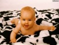 /album/papeis-de-parede/learning-to-crawl-jpg/