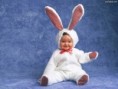 /album/papeis-de-parede/the-joys-of-easter-jpg/