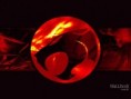 /album/papeis-de-parede/thundercats-jpg/